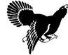 pajaros-miscelanea-110.gif