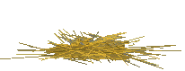 pajaros-miscelanea-113.gif
