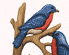 pajaros-miscelanea-115.gif