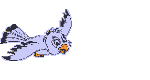 pajaros-miscelanea-123.gif