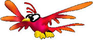pajaros-miscelanea-124.jpg