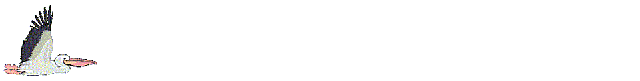 pajaros-miscelanea-125.gif