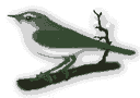 pajaros-miscelanea-129.gif
