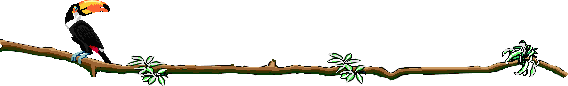 pajaros-miscelanea-130.gif