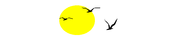 pajaros-miscelanea-143.gif