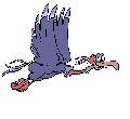pajaros-miscelanea-145.gif