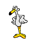 pajaros-miscelanea-146.gif