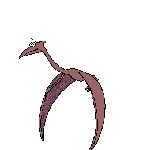 pajaros-miscelanea-147.gif