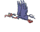 pajaros-miscelanea-148.gif