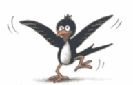 pajaros-miscelanea-154.gif