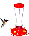 pajaros-miscelanea-155.gif