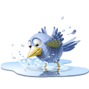 pajaros-miscelanea-157.png