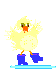 pajaros-miscelanea-165.gif