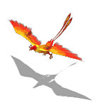 pajaros-miscelanea-166.gif
