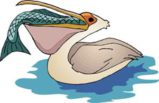 pajaros-miscelanea-170.jpg