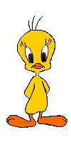 pajaros-miscelanea-172.gif