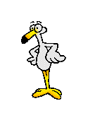 pajaros-miscelanea-179.gif