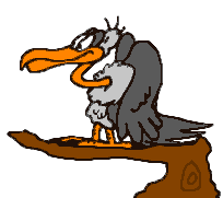 pajaros-miscelanea-180.gif