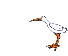pajaros-miscelanea-181.gif