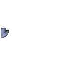 paloma-009.gif
