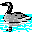 pato-005.gif