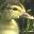 pato-007.jpg