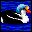pato-012.jpg