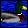 pato-016.gif