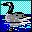pato-020.jpg