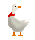 pato-023.gif