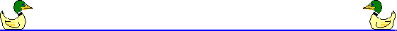 pato-026.gif