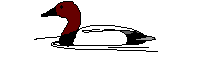 pato-033.gif