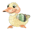 pato-055.gif