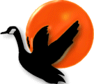 pato-063.gif