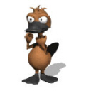 pato-068.jpg
