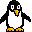 pinguino-024.jpg