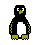 pinguino-030.gif