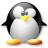 pinguino-032.jpg