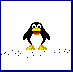 pinguino-049.gif