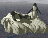 pinguino-054.gif