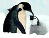 pinguino-055.gif