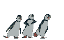 pinguino-056.gif