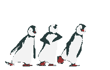 pinguino-057.gif