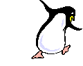 pinguino-059.gif