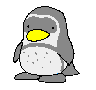 pinguino-062.gif