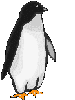 pinguino-071.gif