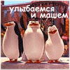 pinguino-076.gif