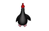pinguino-078.gif