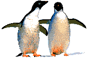 pinguino-087.gif