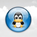 pinguino-092.jpg